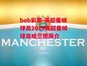 bob彩票-英超曼城球员2018英超曼城球员哈兰德简介