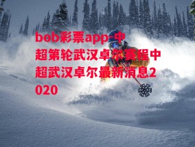 bob彩票app-中超第轮武汉卓尔赛程中超武汉卓尔最新消息2020